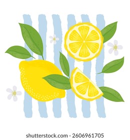 Lemons with leaves Illustration. Lemon plant. Template for cards, menus, flyers, posters. Vector hand drawn illustration.