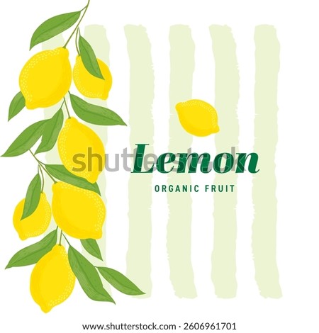 Lemons with leaves Illustration. Lemon plant. Template for cards, menus, flyers, posters. Vector hand drawn illustration.