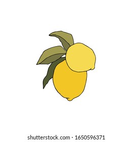 Lemons with leaves isolated on a white background. Vector fresh fruits illustration.