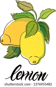 Lemons with leaves in light simple natural sketch style. Hand lettering below. Citrus fruit vector illustration isolated on white, for food magazines, menus, cookbooks, food shops, packages, posters.