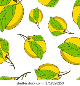 Lemons and leaves on a white background. Vector seamless pattern.
