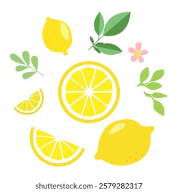 Lemons with leaves on a white background.Vector illustration.