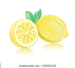 
Lemons with leaves and shadow isolated on white background. Stylized pencil hatching. Hand drawn style. Vector.