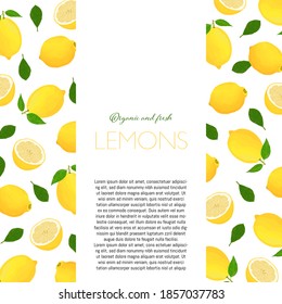 Lemons leaves vector background,  lemon frame with text space