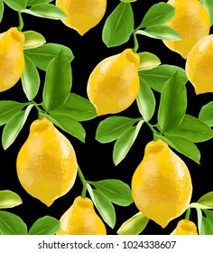 Lemons on a branch on a black background. 