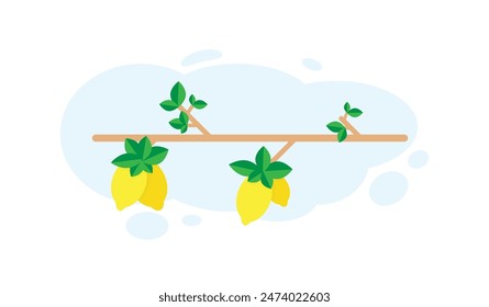 Lemons on a Branch Flat Style. Summertime and exotic fruits concept vector