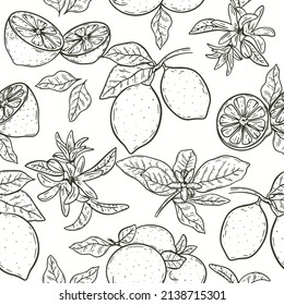 Lemons on branch with leaves and flowers hand engraving seamless pattern. Fruity citrus background sketch. Model black contours fruits for fabric, paper and product design vector illustration