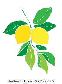 lemons on a branch with leaves, hand drawn, vector illustration on a white color background