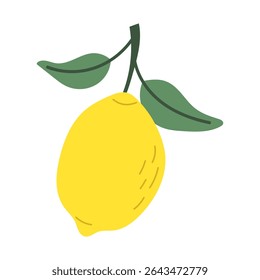 Limões em um galho. Ilustração vetorial.