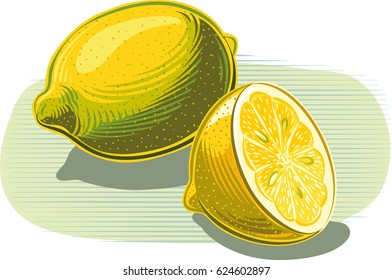Lemons on white. Two slices of lemon