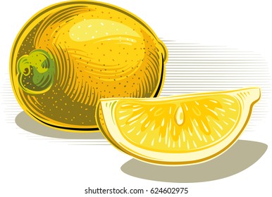 Lemons on white. Two slices of lemon