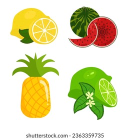 Lemons Pineapple Lime Watermelon set vector illustration design isolated