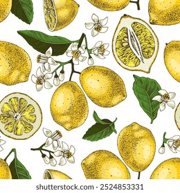 Lemons seamless pattern vector illustration
