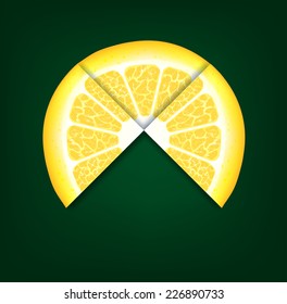 lemons segments. Vector background