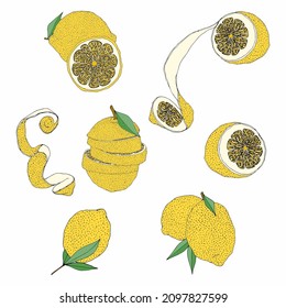 Lemons set. Illustrations on a white background. Hand drawing.