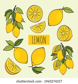 Lemons set of vector illustrations: lemons with leaves, half, slices, branch.