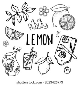 Lemons set. Vector sketch, doodle isolated on white background. Lemon hand drawn sketch collection. Lemon vector fruit vegan cuisine ingredient.