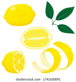 lemons. Set of whole, cut in half, sliced on pieces fresh lemons and leaves, lemon peel. Collection fresh juicy ripe citrus fruit. Hand drawn vector illustration isolated on white background