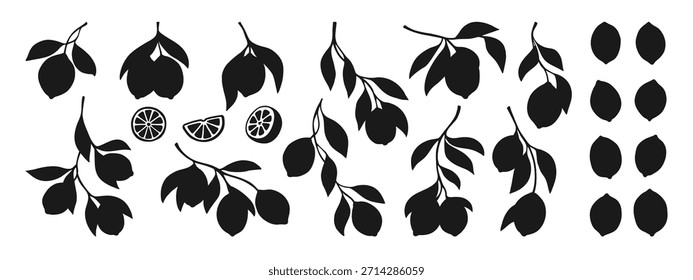 Conjunto de silhueta de limões. Diferentes ramos de limão com folhas sombra coleção botânica. Os citrinos frescos suculentos abstrato inteiro, limões cortados. Elementos decorativos do projeto de frutas desenhado à mão ilustração do vetor