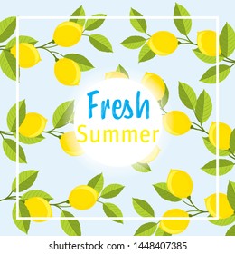 lemons in the summer frame, fresh summer background with lemons