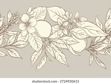 Página para colorear de limones y hojas de té. Diseño de contorno botánico con cítricos, flores, ramas y follaje de jardín para proyectos imprimibles, de cocina, alimentos, bebidas, textiles y Fondos de pantalla.