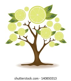 lemons tree. vector illustration.