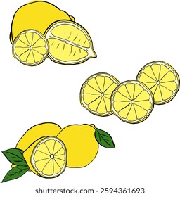 Lemons vector composition set, graphic line ink illustration. Vector isolated whole and slices citrus with leaves on transparent background
