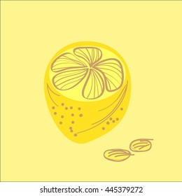 Lemons vector hand drawn  illustration