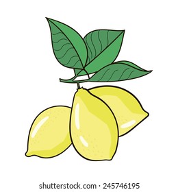 Lemons vector illustration