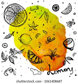 Lemon's vector illustration. 
Lemon flowers, peel, slice of lemon. Hand drawn illustration on watercolor background.