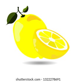 Lemons vector illustration. The whole fruit and a half of lemon. Citrus vector icon for website or apps