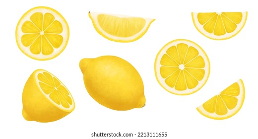 Lemons. Vector realistic illustration isolated on white. Whole, half and slices of a ripe lemon. Citrus juicy set of cut pieces of sour fresh fruits with bright yellow peel.