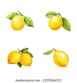 Juego de ilustración de la acuarela vectorial Lemons, icono realista 3D Lemons