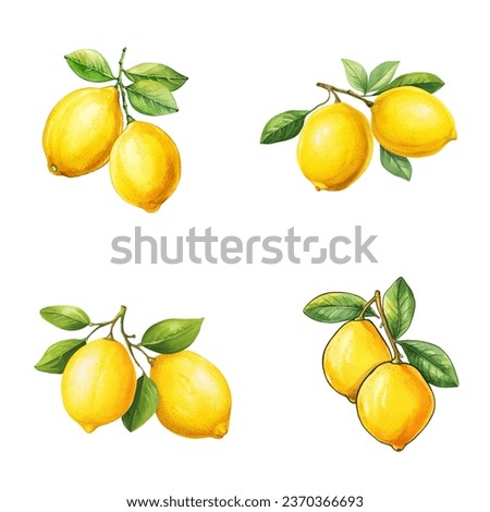 Lemons vector watercolor illustration set, Lemons 3D realistic icon