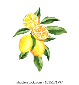 Lemons Watercolor Composition, arrangement design isolated on white. For menu design, cocktail party decorations