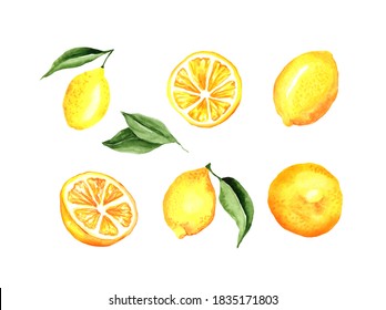 Lemons Watercolor Set. Lemons and leaves. Vector artistic collection isolated on white. Elements for party decorations