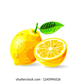 Lemons whole a piece with leaf and drops of water on white. Vector illustration. No gradients