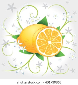 Lemons whole and slices