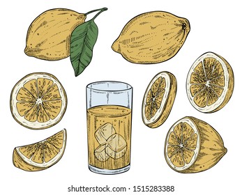 Lemons whole and slices set and lemonade, vector