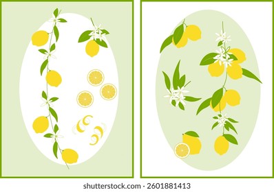 Lemon-themed vector illustrations floral accents and citrus elements; invitations, branding projects, packaging, kitchen decor, designs for food.