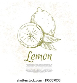Lemon,vector hand drawing