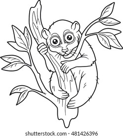 lemur