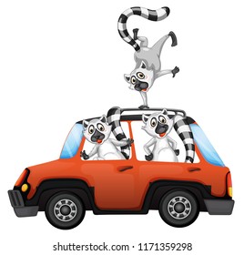 Lemur in a car on white backgroubd illustration