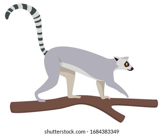 Lemur climbing tree. Cute animal in cartoon style isolated on white background.