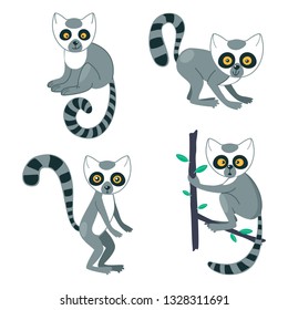 Lemur cute set. Funny animal characters with striped tails and big eyes. Vector cartoon illustration for kids and children.