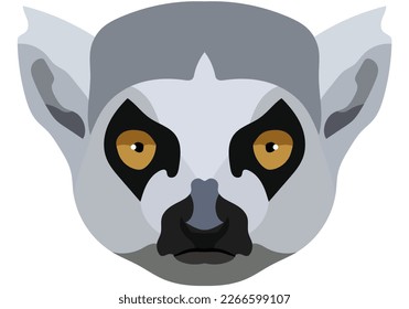 lemur face. The muzzle of a mammal from Madagascar is depicted. Bright portrait on a white background. predictive graphics. animal logo.