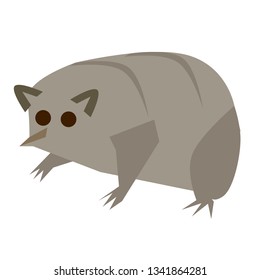 lemur flat illustration Wild life plants and animals series