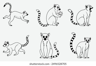 Lemur Line Art Vector conjunto Colección.