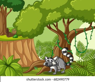 Lemur lives in the forest illustration
