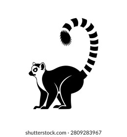 Lemur with long striped tail standing still